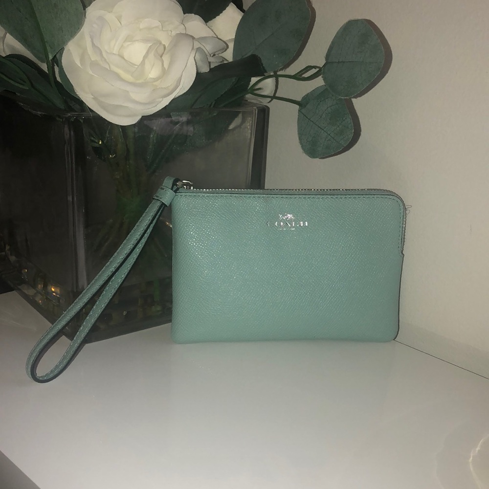 Baby Blue Coach Wristlet